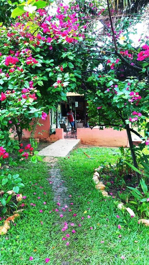 Pousada Estacao Lunar - Terra Ronca Sao Domingos de Goias Экстерьер фото